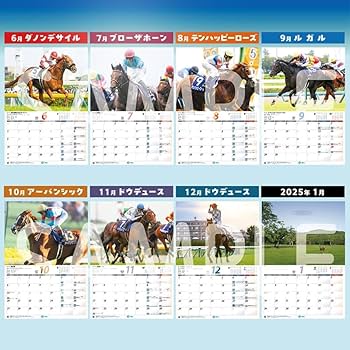 2021年JRAカレンダー 2025年最新】jra カレンダー 2021の人気アイテム - メルカリ